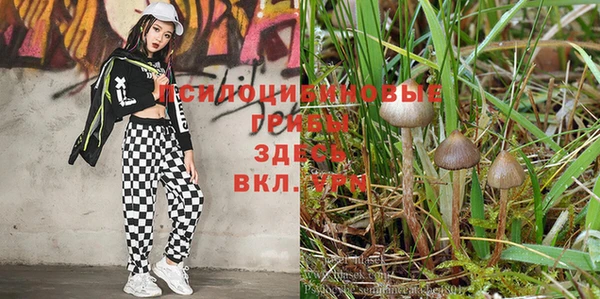 мефедрон мука Беломорск