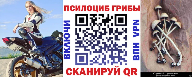 Псилоцибиновые грибы прущие грибы  закладка  Кушва 